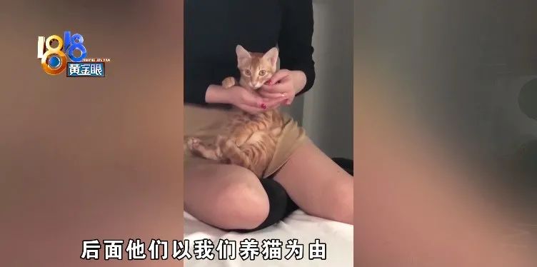 DƬ